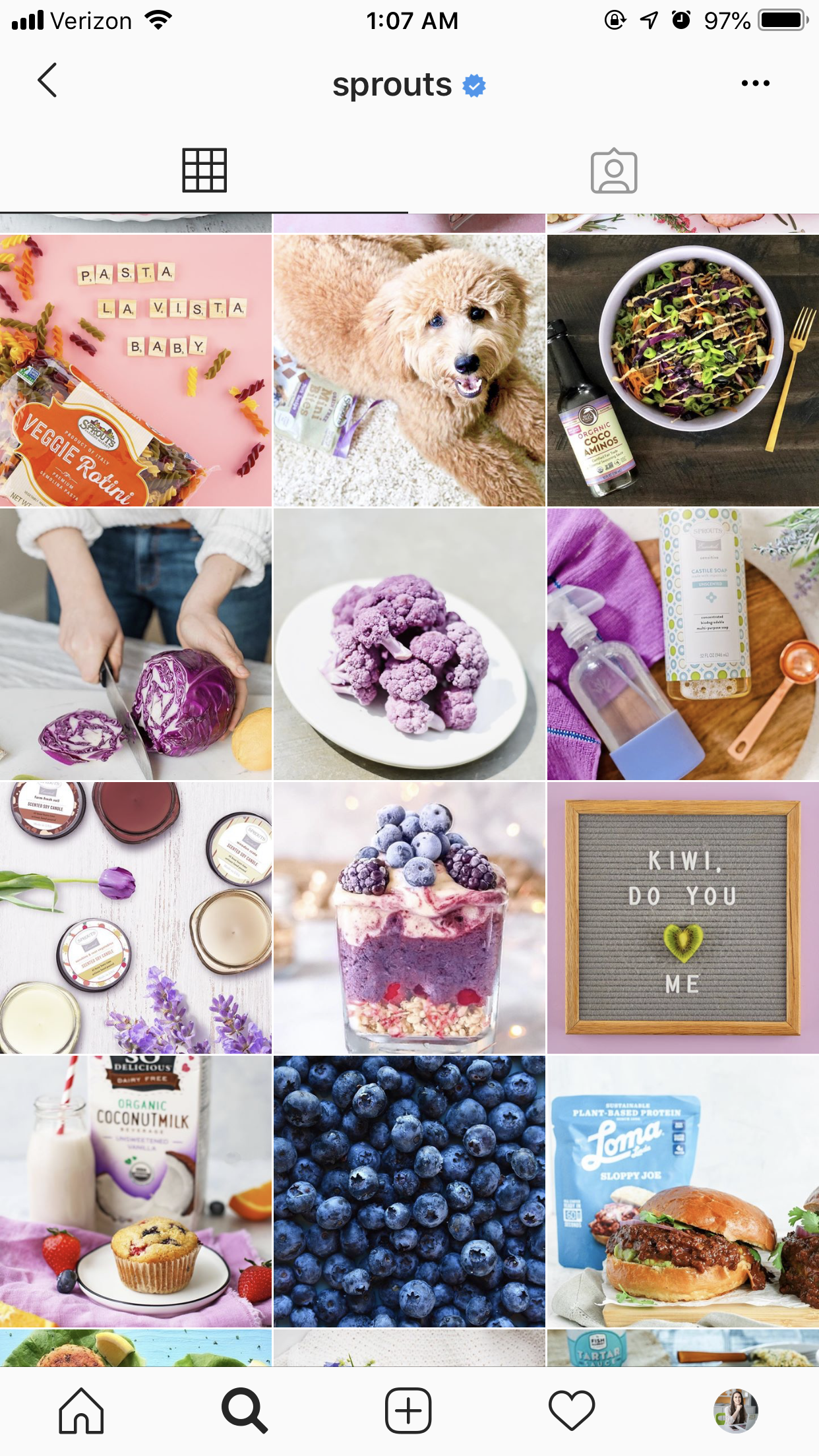 Brotes en Instagram - Las mejores marcas para seguir