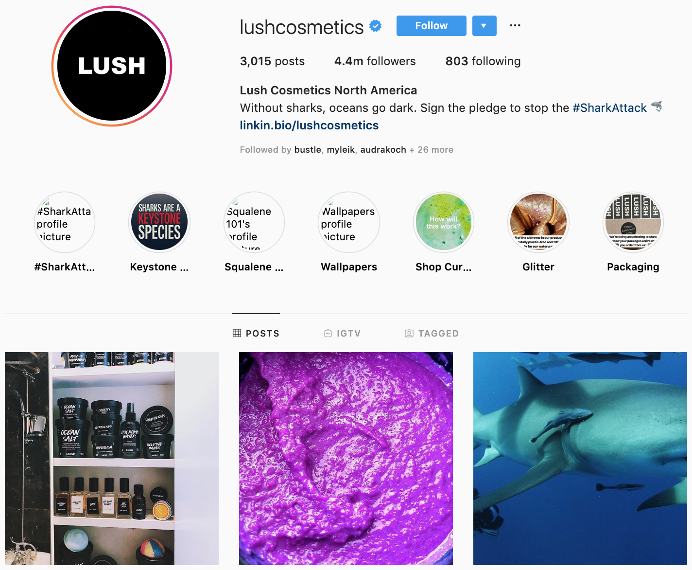 Lush en Instagram - las mejores marcas a seguir